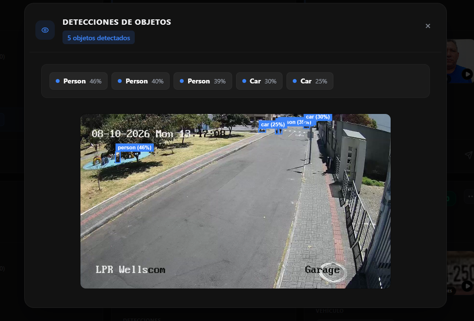 Vista de referencia de las detecciones de objetos